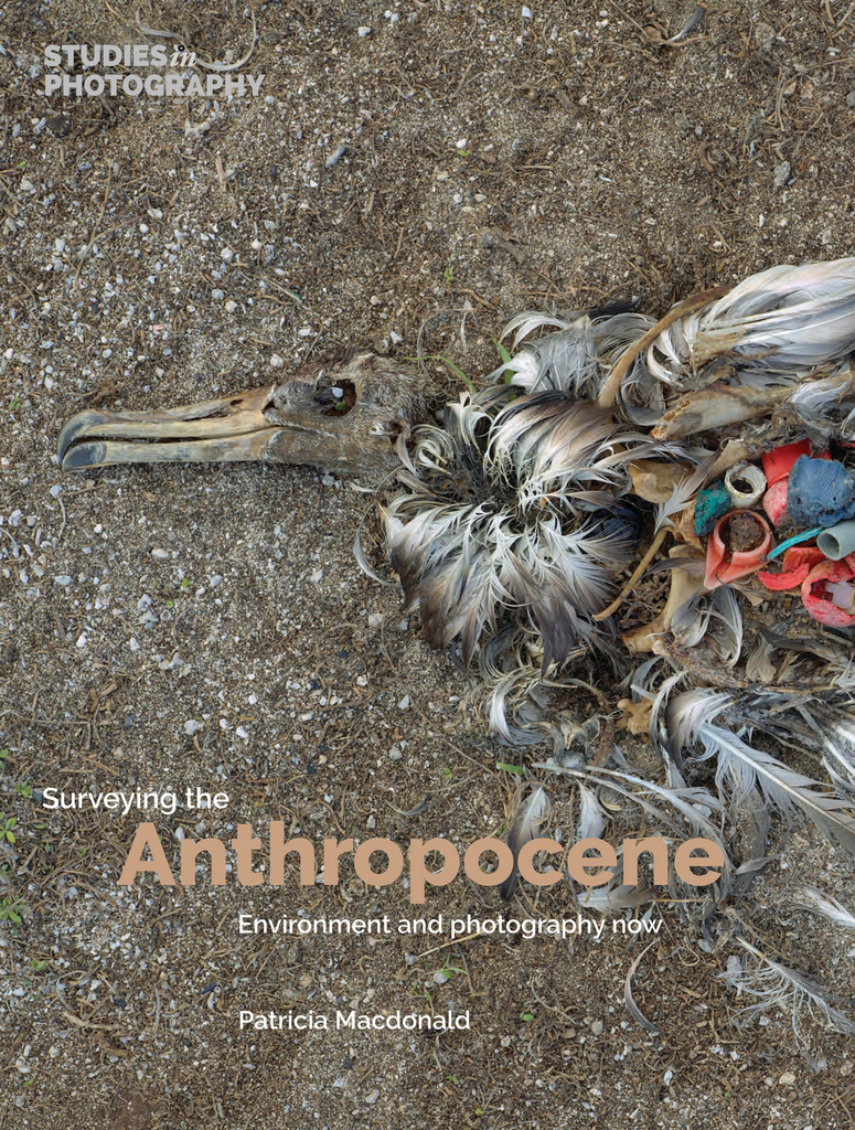 Surveying the Anthropocene