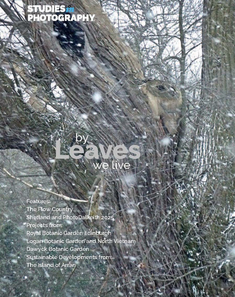 NEW RELEASE: Leaves Issue 6