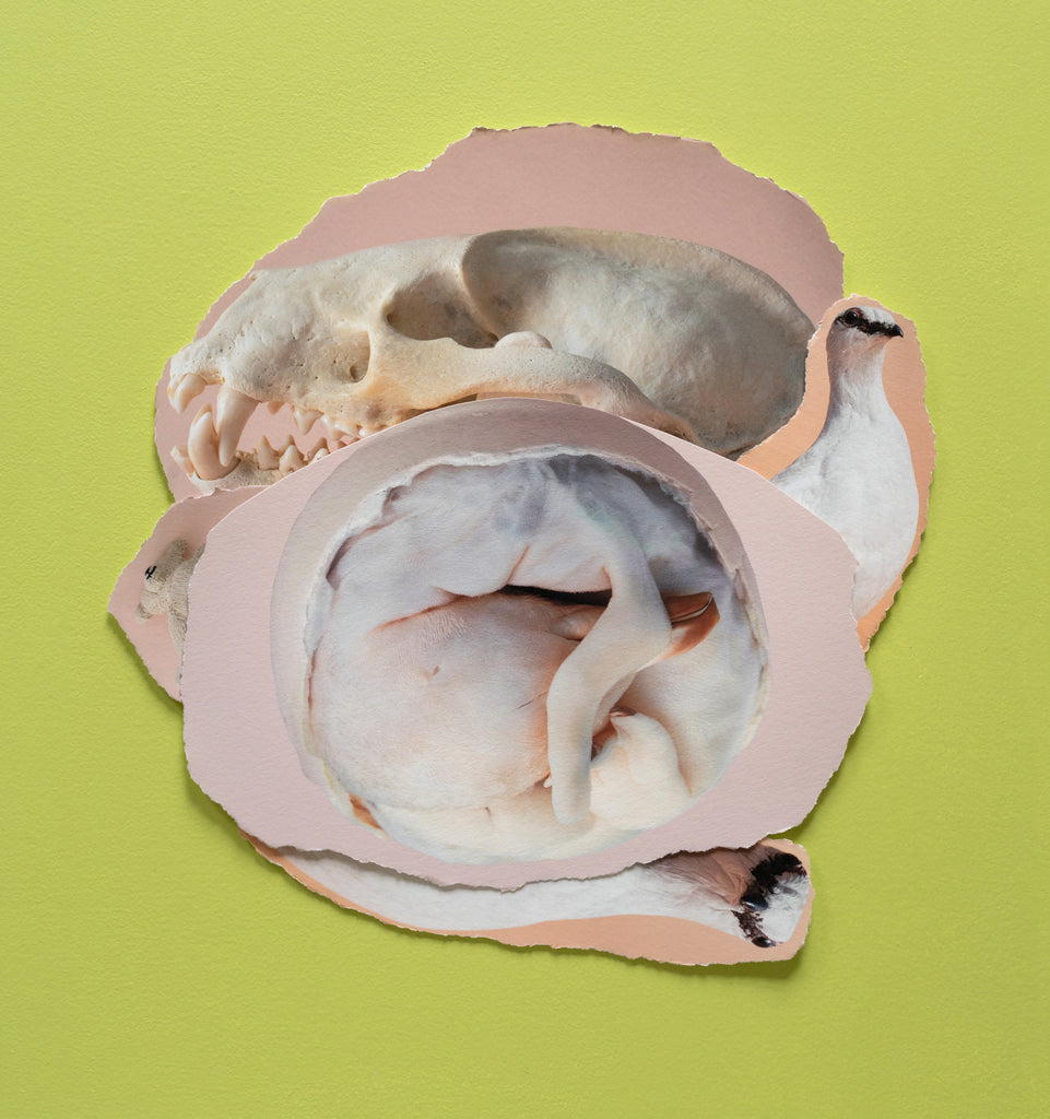 Sylwia Kowalczyk - Untitled (small)