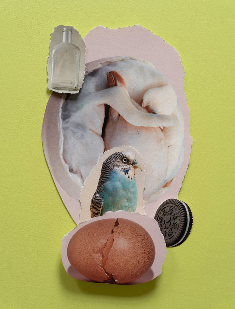 Sylwia Kowalczyk - Untitled (small)