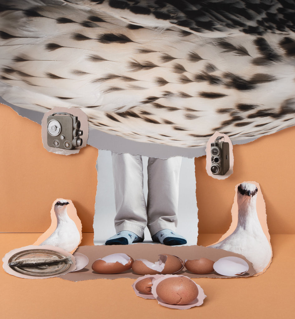 Sylwia Kowalczyk - Untitled (medium)