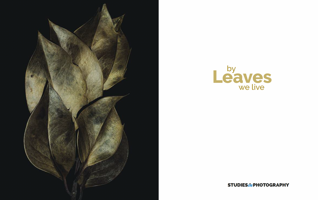 Leaves Issue Two
