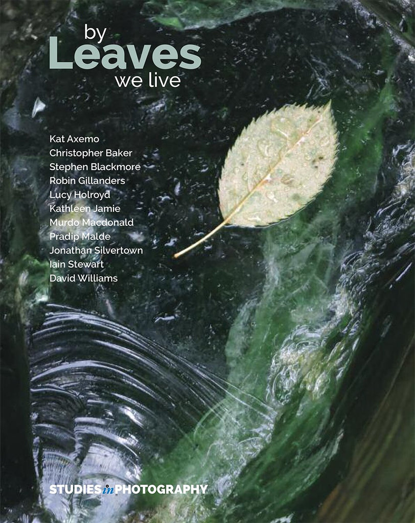 Leaves studies in photography journal